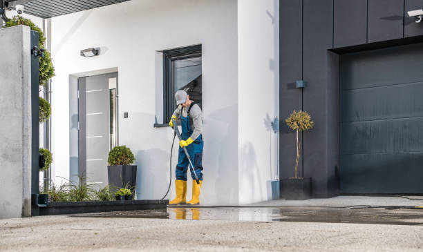 Best Dumpster Area Cleaning  in Zolfo Springs, FL